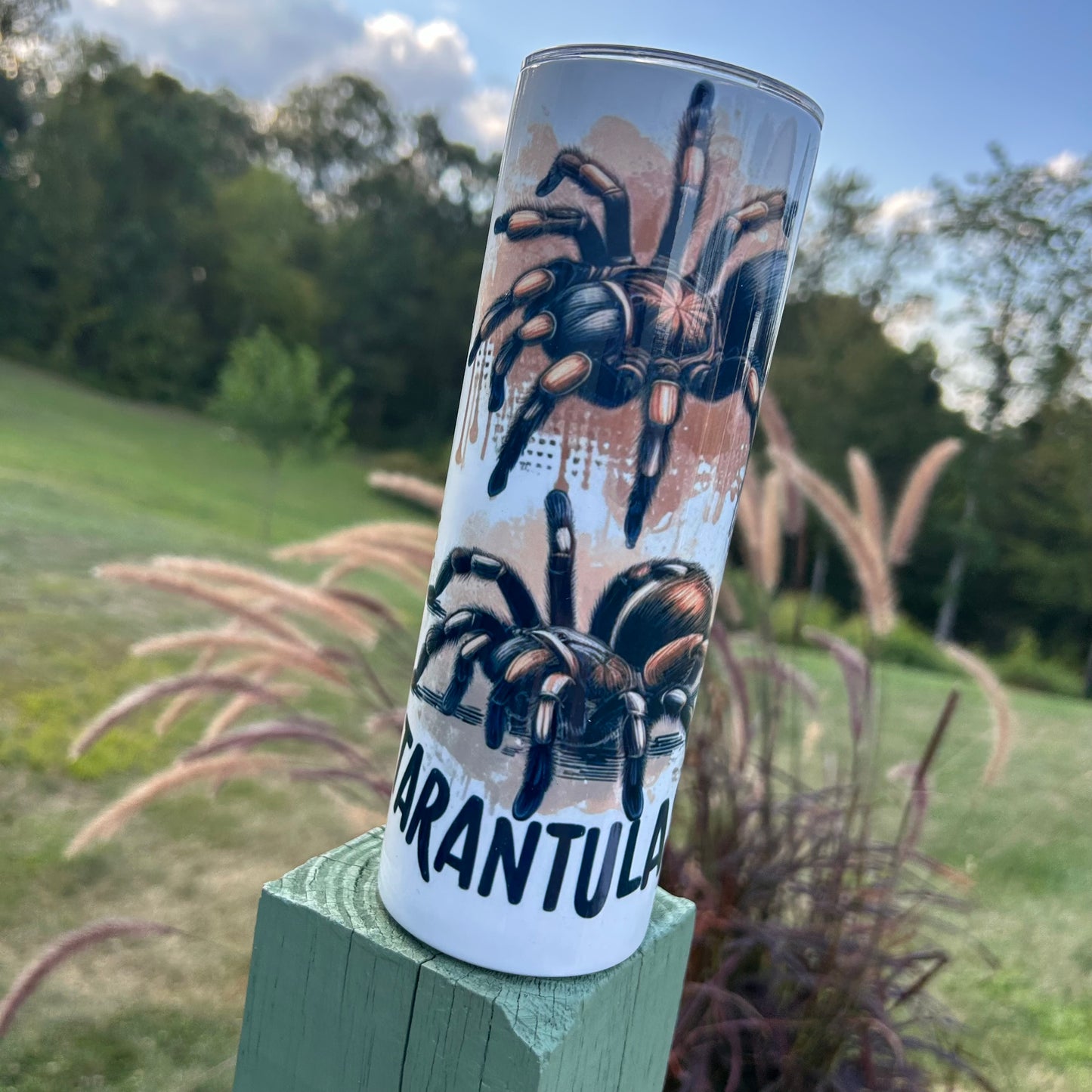 I Used To Have Money Now I Have Tarantulas Tumbler | Stainless Steel Double Wall Tumbler