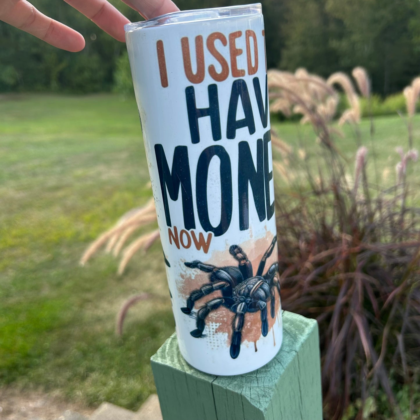 I Used To Have Money Now I Have Tarantulas Tumbler | Stainless Steel Double Wall Tumbler
