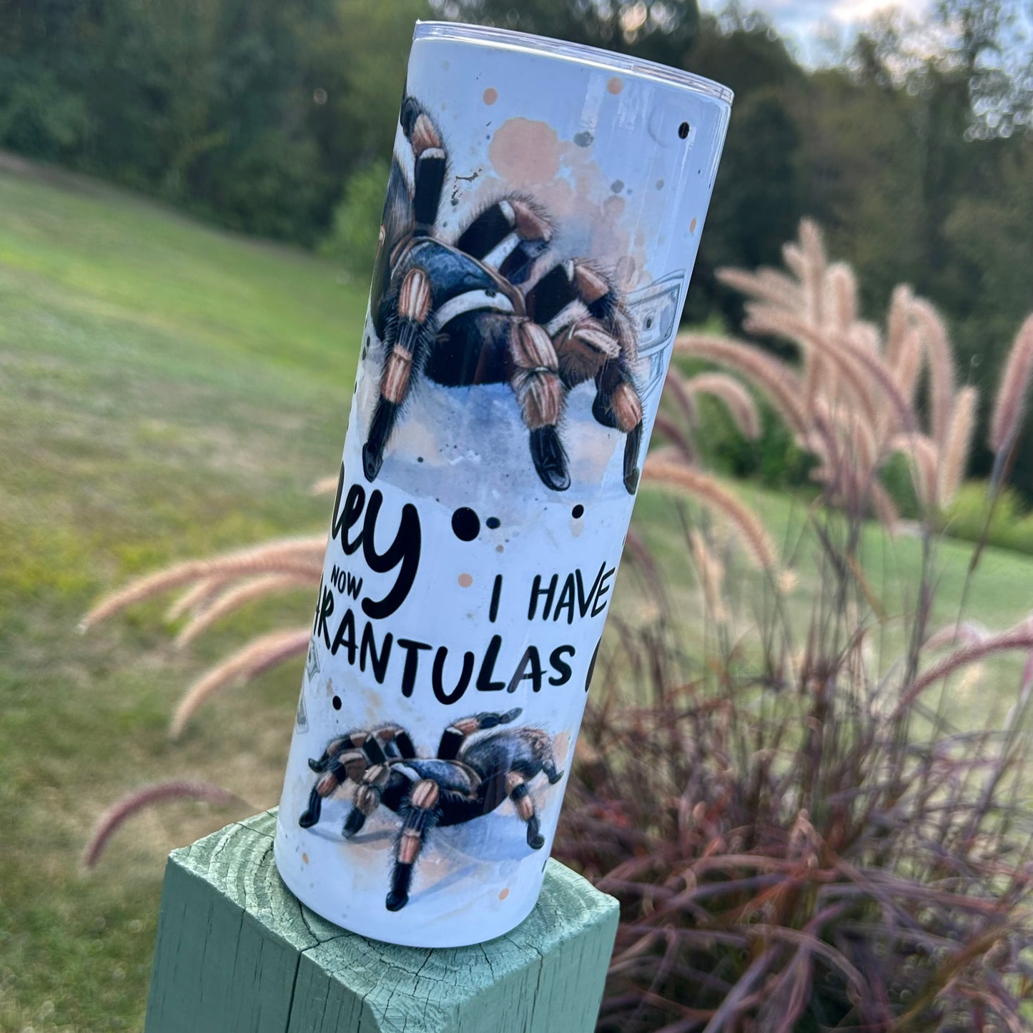 Money I Used To Have Money Now I Have Tarantulas Tumbler | Stainless Steel Double Wall Tumbler