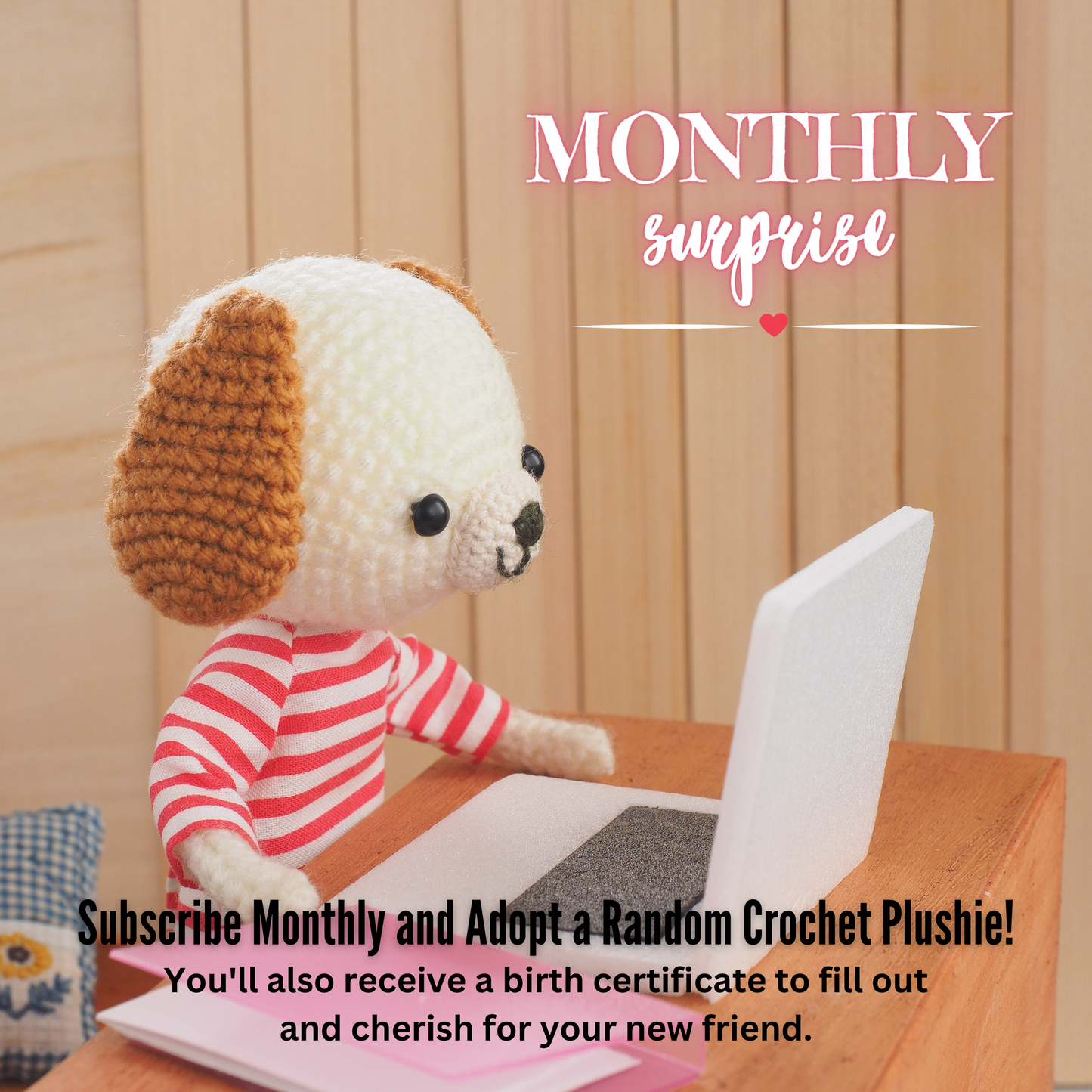 Monthly Surprise Crochet Plushie