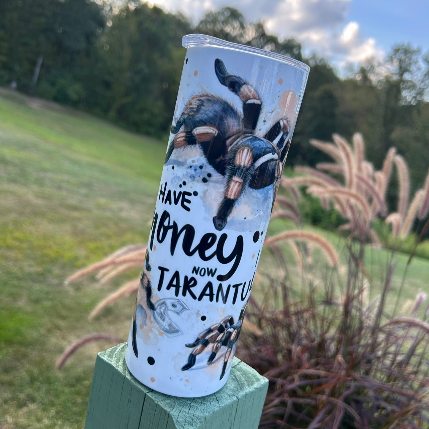 Money I Used To Have Money Now I Have Tarantulas Tumbler | Stainless Steel Double Wall Tumbler