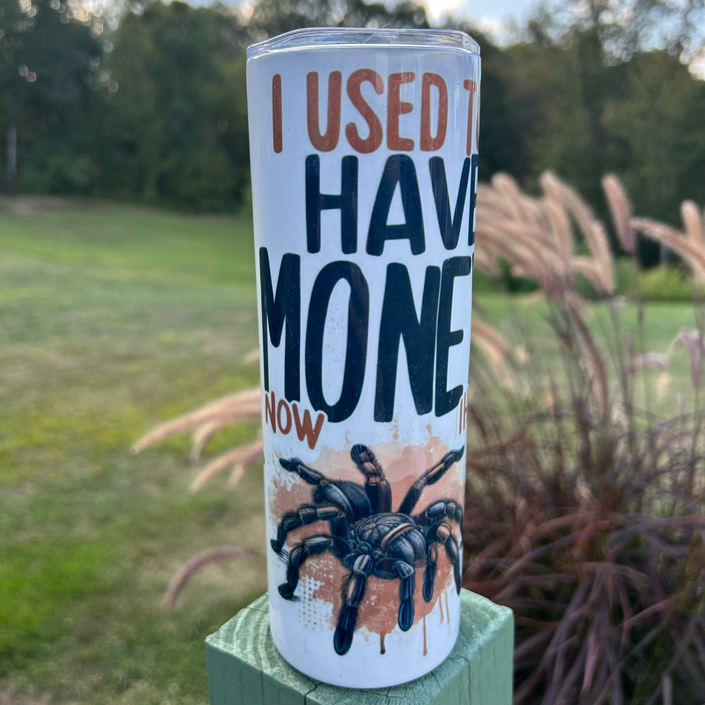 I Used To Have Money Now I Have Tarantulas Tumbler | Stainless Steel Double Wall Tumbler