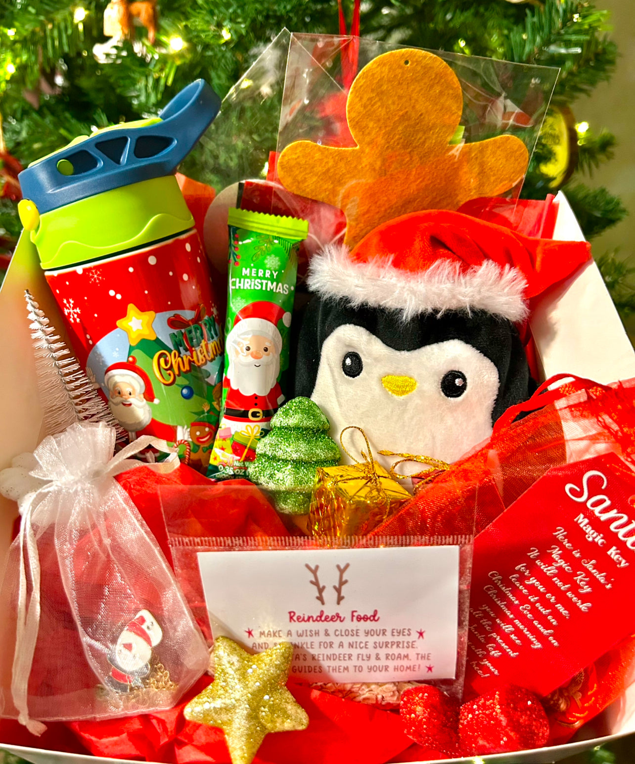 Merry Christmas Christmas Box